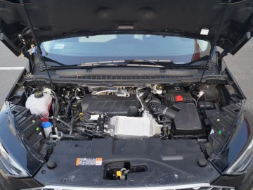 Ford Edge Vignale 2.0 TDCi EcoBLUE Twin Turbo 238 KM 8AT - Amerykański punkt widzenia