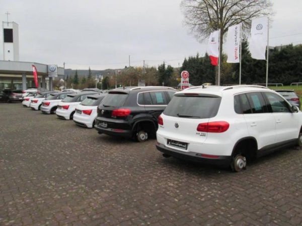 Dealer Grupy VW okradziony